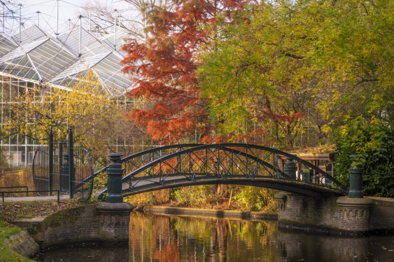 Botanische tuinen